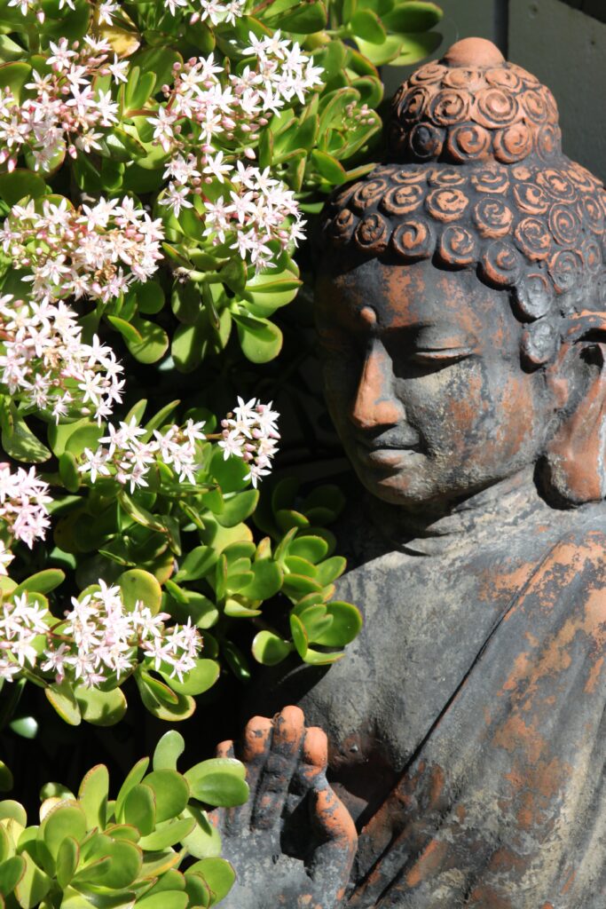 Trouvez la statue bouddha parfaite pour votre maison : guide et conseils