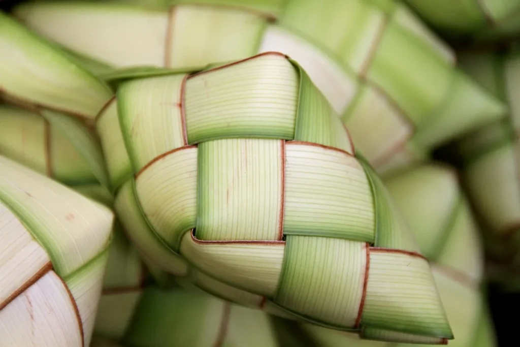 Immersion au Bountra Festival : artisans, cuisine et animations